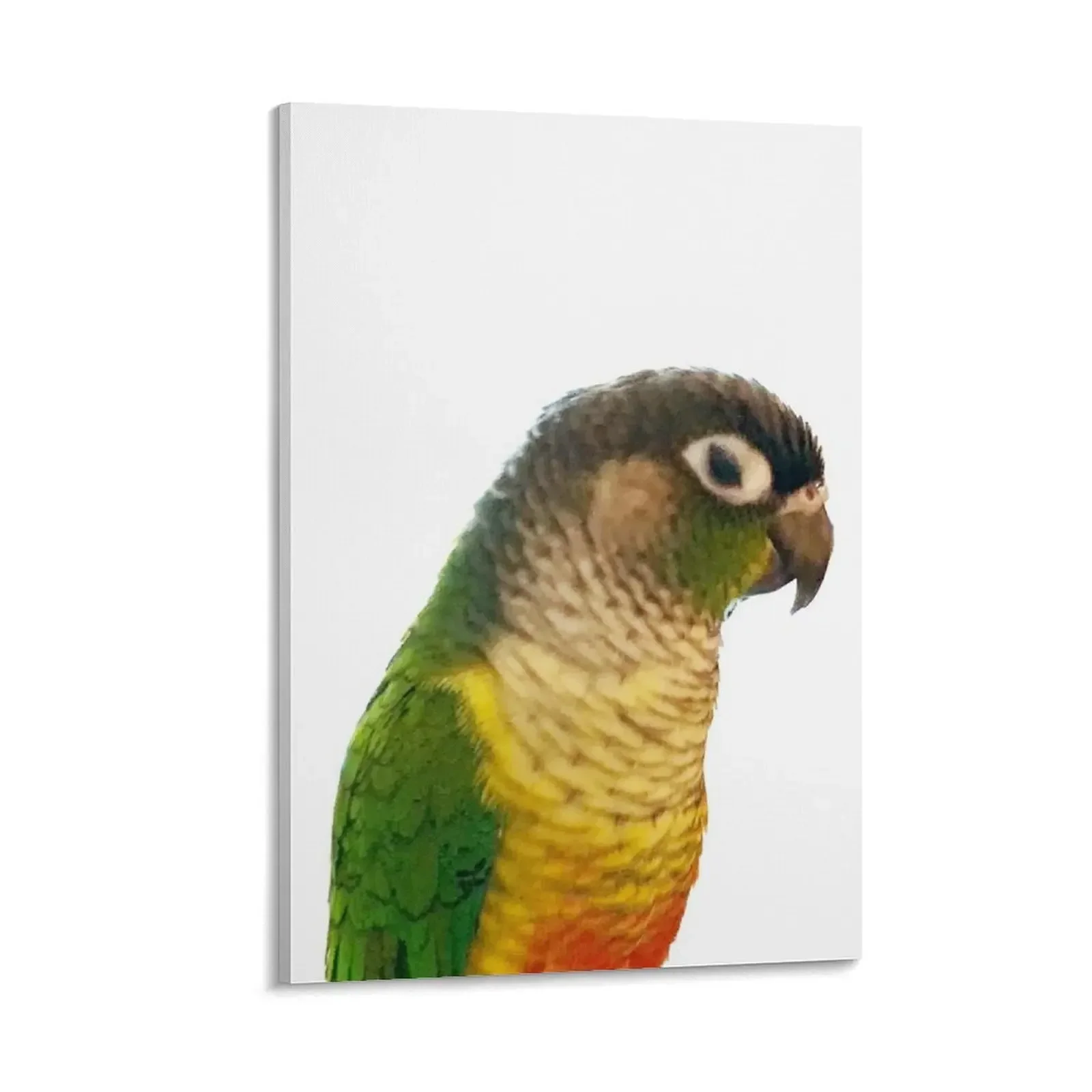 

Green Cheek Conure Canvas Painting painting Decoration for bedroom home decors accessories