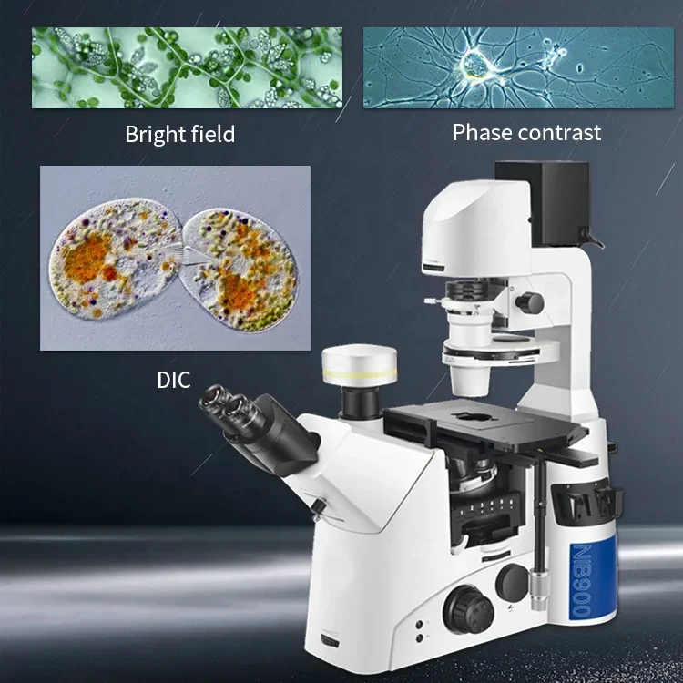 Microscopio de fluorescencia invertida objetivo Boshida BD-NIB910 APO con iluminación LED de contraste de fase
