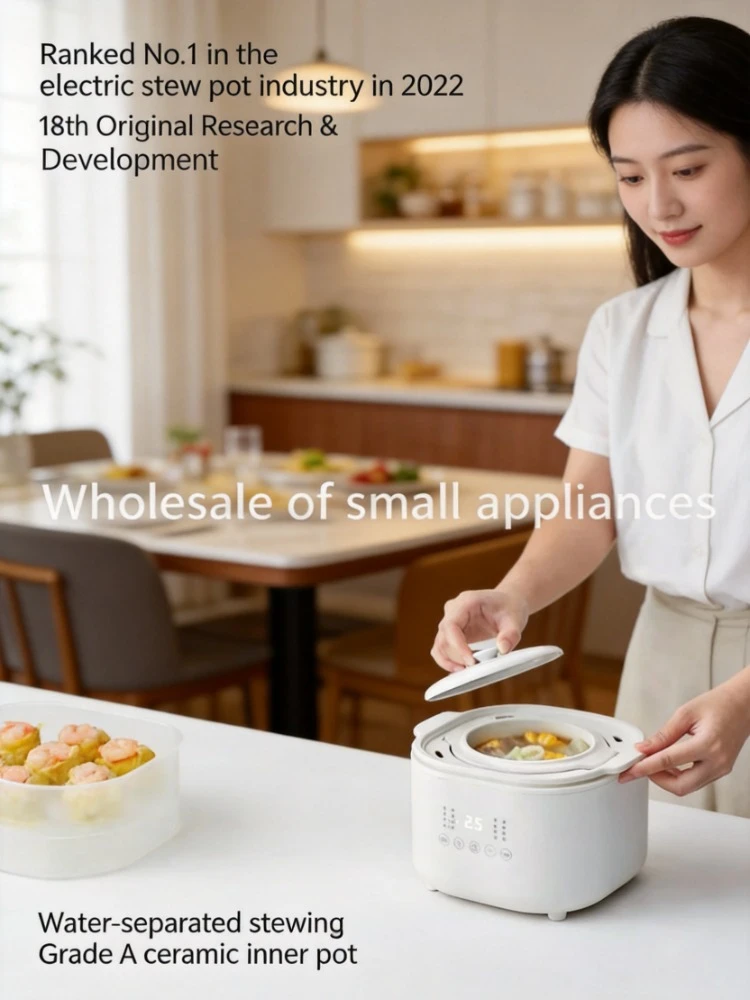 Multifunctional Electric Cooker Mini Stew Pot for Baby Food Supplement Bird Nest Porridge Household Use