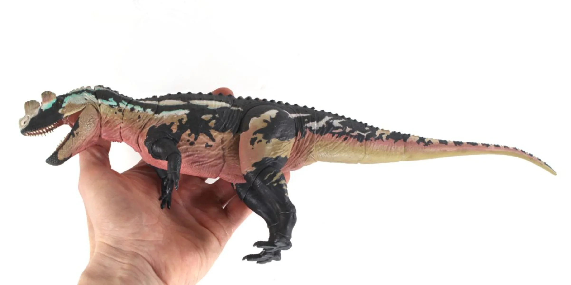 Beasts of the Mesozoic Studio 1/18th Scale Ceratosaurus Dentisulcatus Model Collection Scene Decoration Action Figure Gift view 3