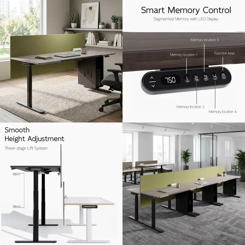 Modern Ergonomic Home Office Desk with Motorized Legs, Electric Adjustable Computer Desk with Digital Display Memory