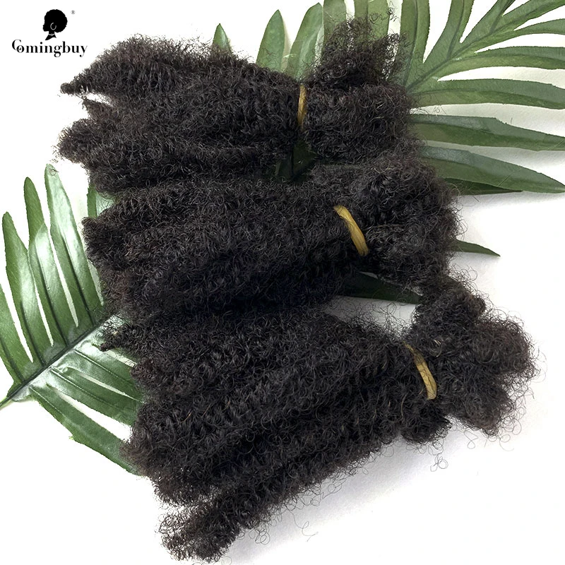 Afro Curly Braiding Hair Extensions for Black Women, Bulk Lock, Mongolian Dreadlock, Remy Cabelo Humano, Crochet Braiding Bulk