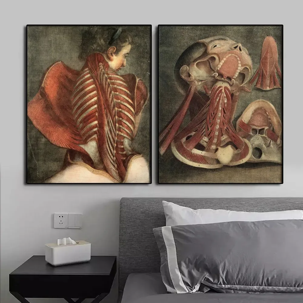 His and Hers Cadavers Poster Antique Anatomy Picture Print On Canvas Painting Vintage Wall Art Medical Diagrams Home Decor Gift