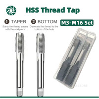 LiYu Thread Tap Set Right Hand Straight Flute Tap M3 M4 M5 M6 M7 M8 M10 M12 M14 M16 Metric 2pcs Thread Tool Screw Tap Drill