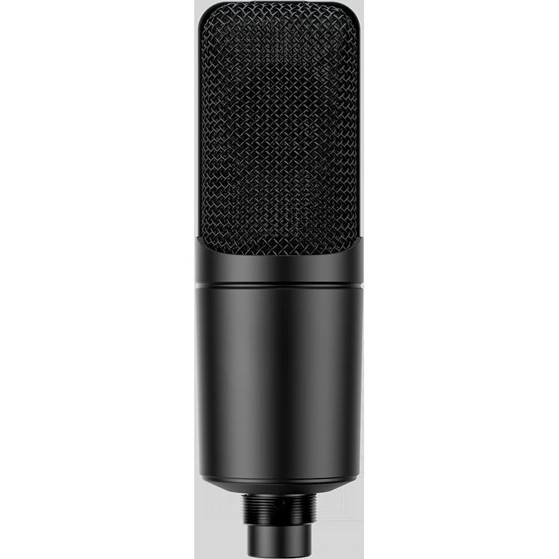 Microphone for Cartoon Microphone Hanging Recording Singing Condenser