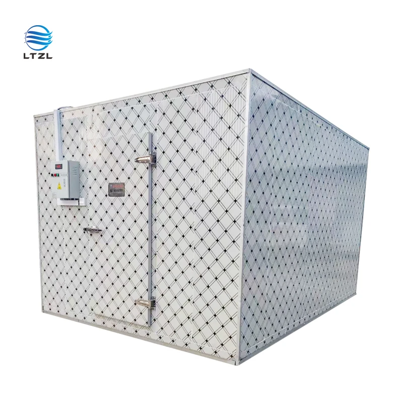 Contenitore mobile commerciale per congelatore per stanza fredda Congelatore 10 20 30 40 Stoccaggio freddo per stanza refrigeratore