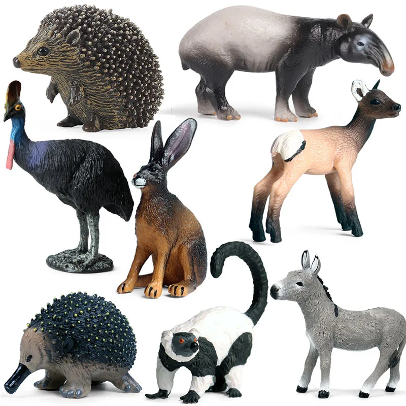 Simulazione animale selvatico Malayan tapis riccio Waterbuck Cassowary Ruffed Lemur renna Action Figures pollame coniglio asino giocattolo