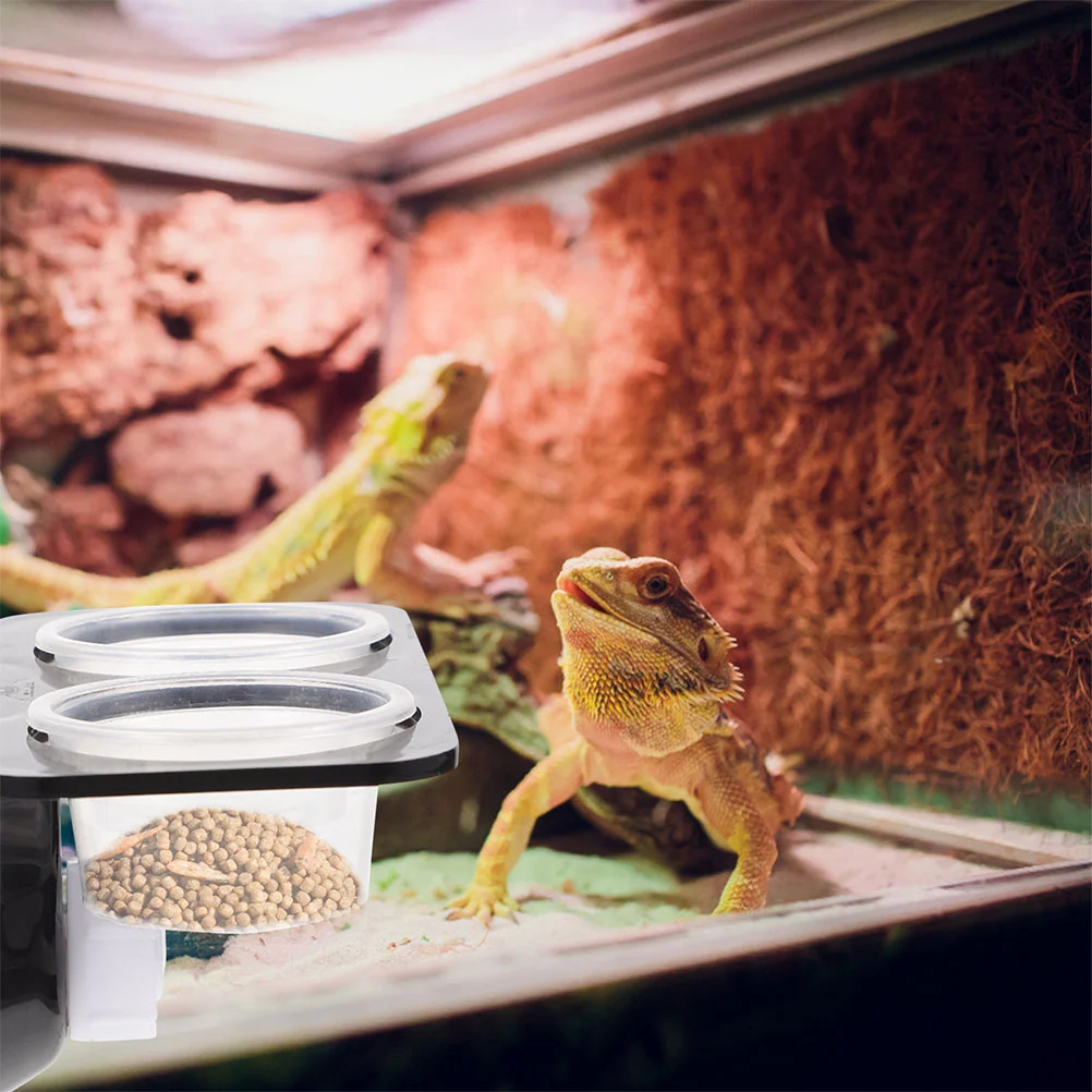 Reptile Bowl Water Feeder Food Feeding Gecko Dish Lizard Ledge Cup Basin Turtle Container Supplies Stable Feeders Worm Tank