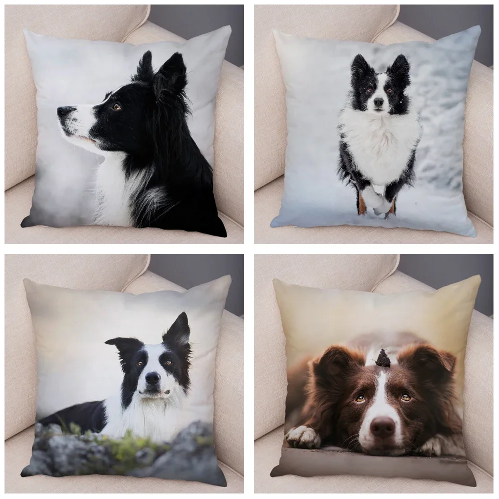 Printed Pet Animal Cushion Cover Scotland Border Collie Soft Plush Pillowcase Decor Cute Dog Pillow Case for Sofa Car 45*45cm