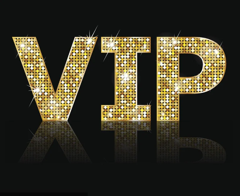 VIP Customized Link Customized *1 image 3
