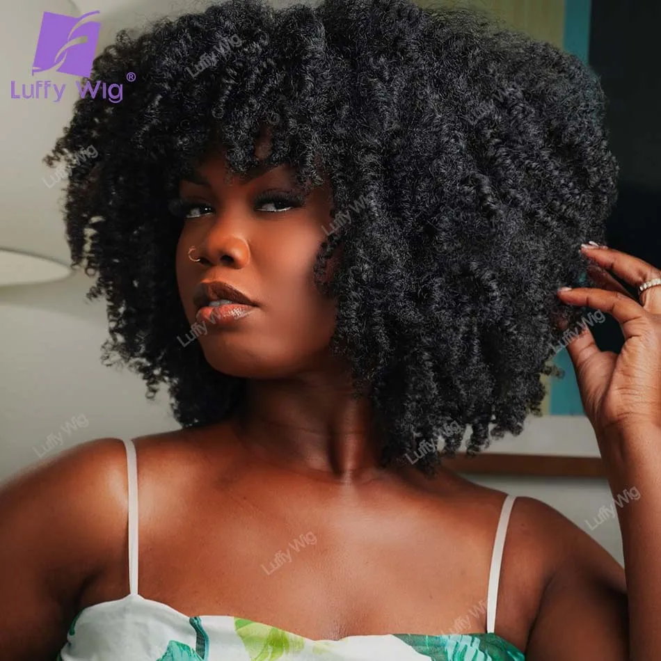Afro Kinky Curly Wi… - image