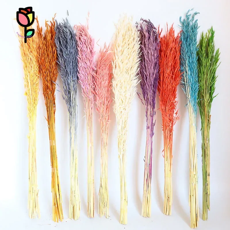 

20pcs Dried Flowers Oat Wheat Wedding Party Decoration Artificial Flower Nordic Country Vase Decor Natural Pampas Garden Florals