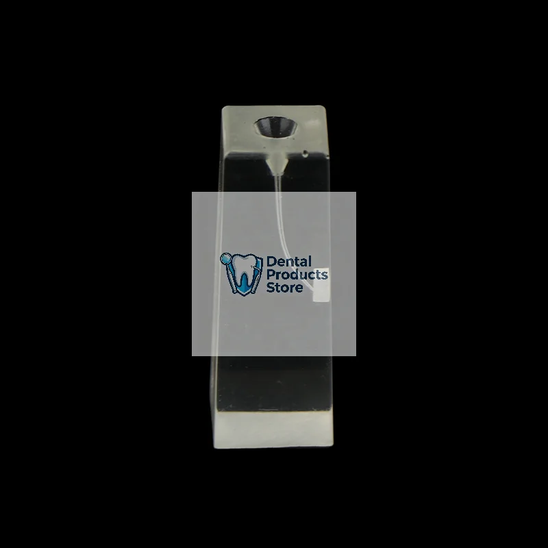 

Endo Teeth Dental Root Canal Practice Block Study Model RCT Pulp Cavity Training Clear Resin Demo Student Study Teaching