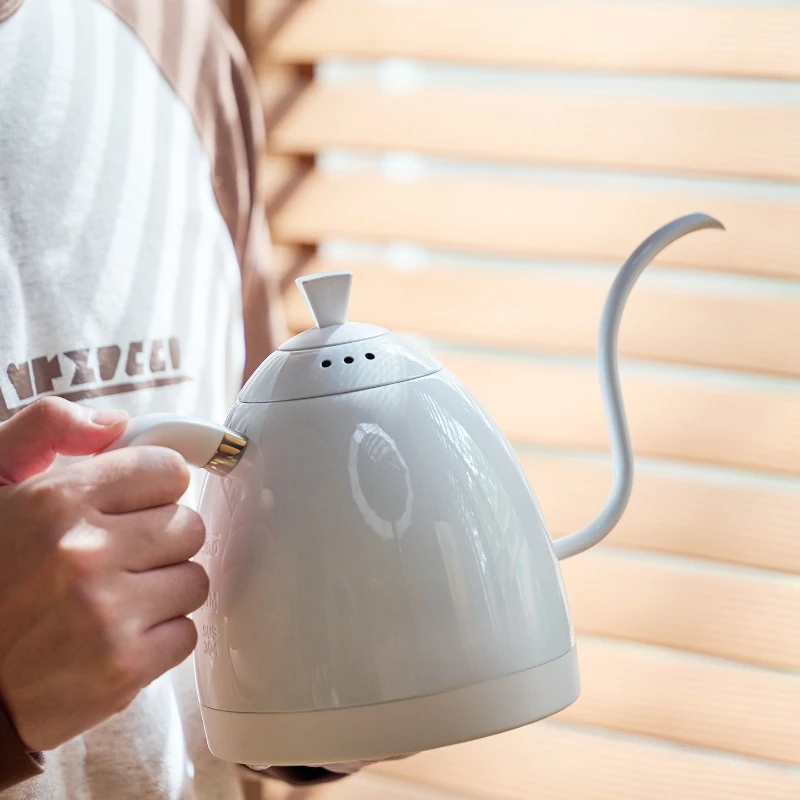 Hand brewing pot Coffee temperature control pot proB pot Smart home temperature control hairpin 0.6L
