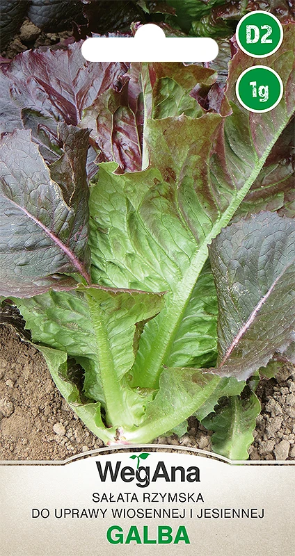 Galba romaine lettuce 1G WegAna vegetable lettuce seeds