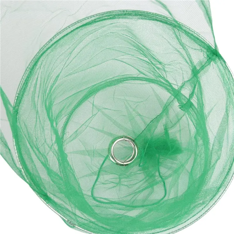 AS94-Spotted Lanternfly Traps Lantern Nails Effective Way Tocatch Lantern Flies Andnymphs A