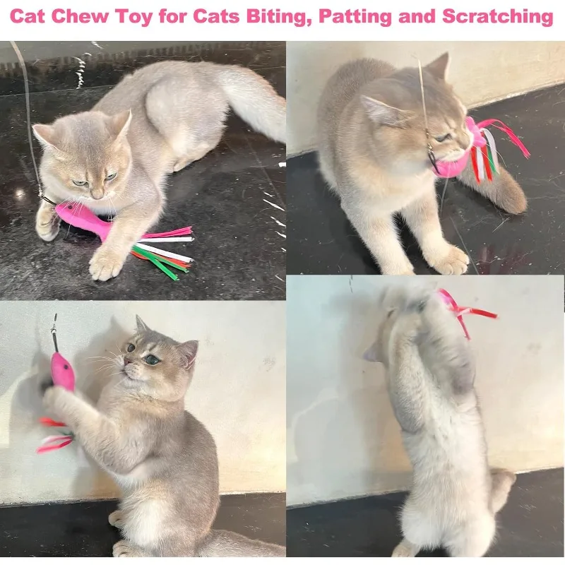 Cat Feather Toy Accessories Cat Toy Interactive Replacement Foam Ball Training Fake Bird Insect Toy with Bell Kitten Cat Toy