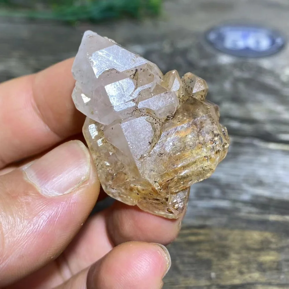 Natural Bone Crystal Backbone Cluster Druzy Stone Specimen Quartz Raw Tower Healing Energy Reiki Home Decoration Gemstones