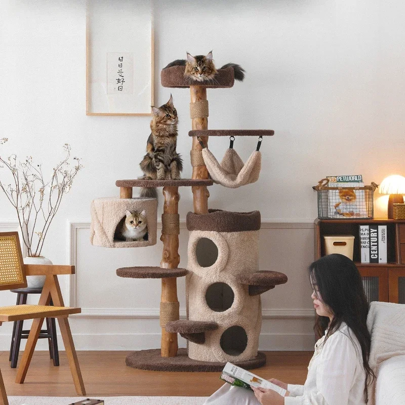 frame Household big tree cat frame Cat climbing frame Solid wood Multi-cat Big cat Special viewing platform