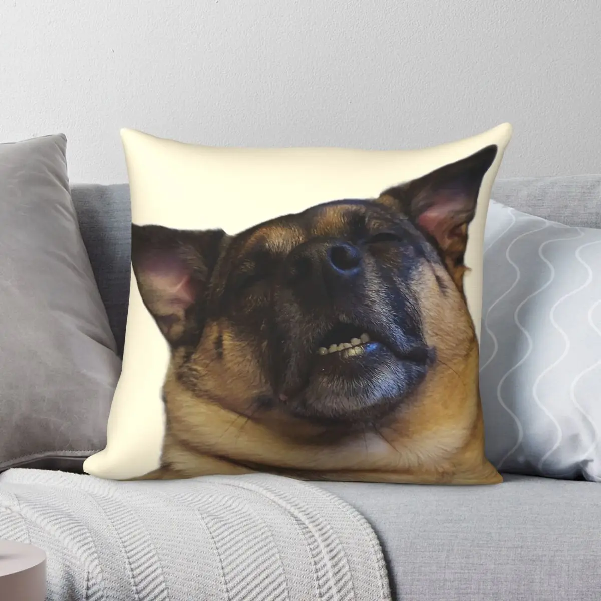 Nala Chubby Pug Doofy Grin Square Pillowcase Polyester Linen Velvet Creative Zip Decorative Pillow Case Room Cushion Cover 45x45