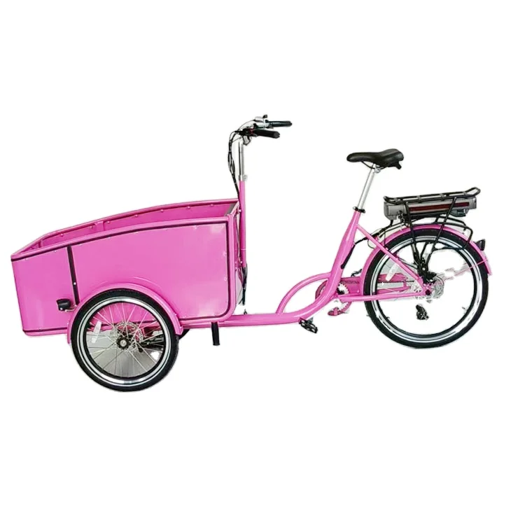 

Custom Swing Balance Electric Tilt System Version Cargo Bike 3 Three Wheels Tricycle Cargo Ebike Cargo Dog Ebike Electric Tricyc