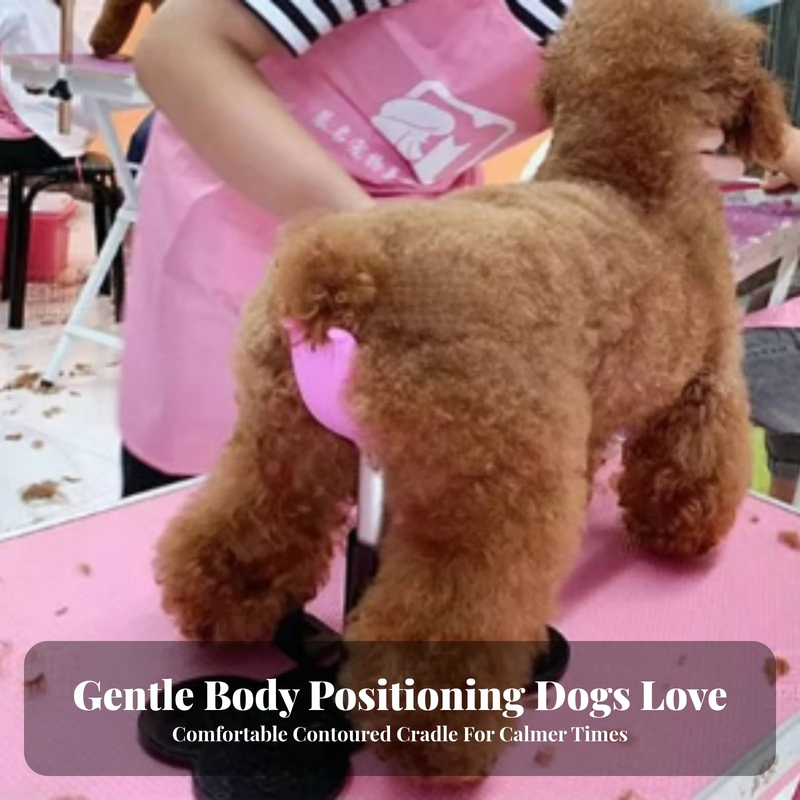 Dog Grooming Stand with Headre - огляд і ціна Pet Grooming