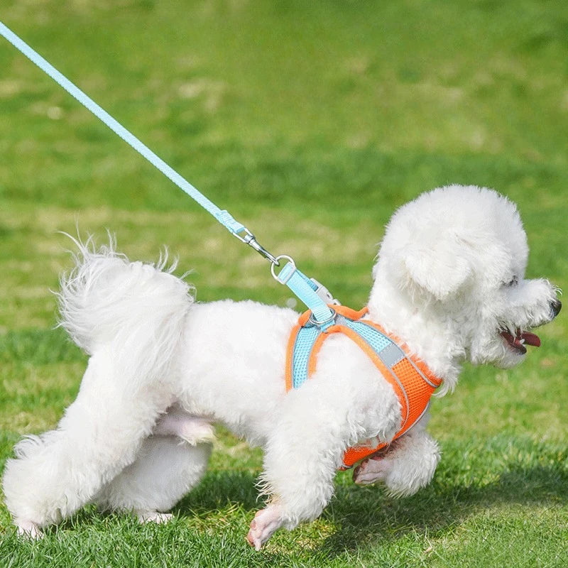 Pet Dog Harness and Leash Set for Small Medium Dog Outdoor Walking Reflective Adjustable Cat Vest Harness Chihuahua Pet Supplies - view 3