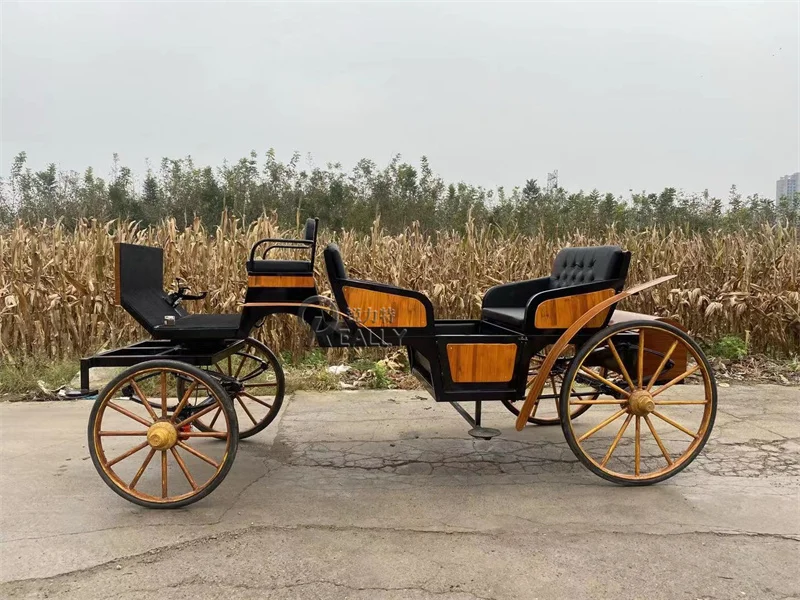 Royal Horse Carriage With Hood Pumpkin Style Wedding Cinderella Cart Mini Horse Drawn Carriages Manufacturer