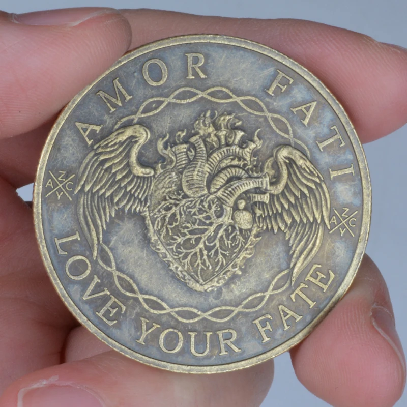 This Is Actually Your Life  Amor Fati Love Your Fate Coin Love Your Destiny Stoicism Coin Daily Reminder Carry Challenge Coin ﻿