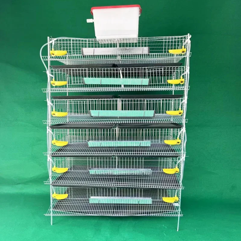 factory direct sale automatic feeding system layer quail cage for egg collection