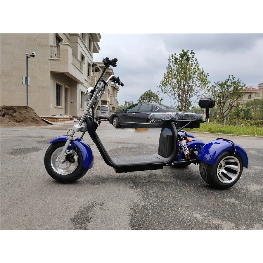 

3 Wheel Moto 60 12A Tricycle Three Wheeler 2000w Electric Motorcycle Electric Trike Scooter Adult With Pedal