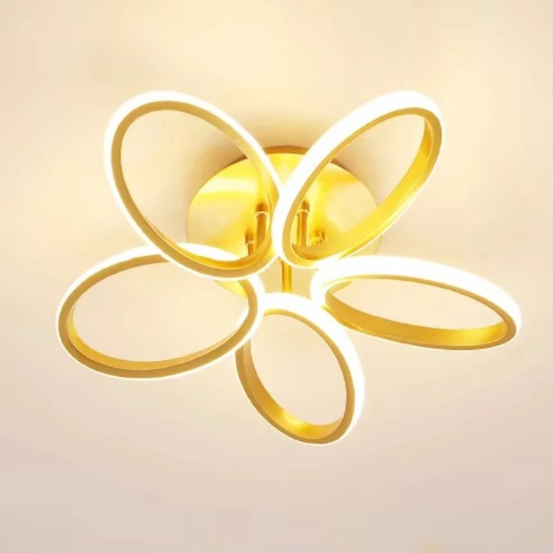 Interior Lighting Creative Modern Living Room Light Emitting Diode Ceiling Light