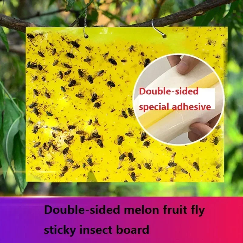 20pcs Two Face Paste Insect Board Double-sided Bug Fly Glue Trap Anti Moustique Aphids White Flies Fruit Fly Sticky Insect Board