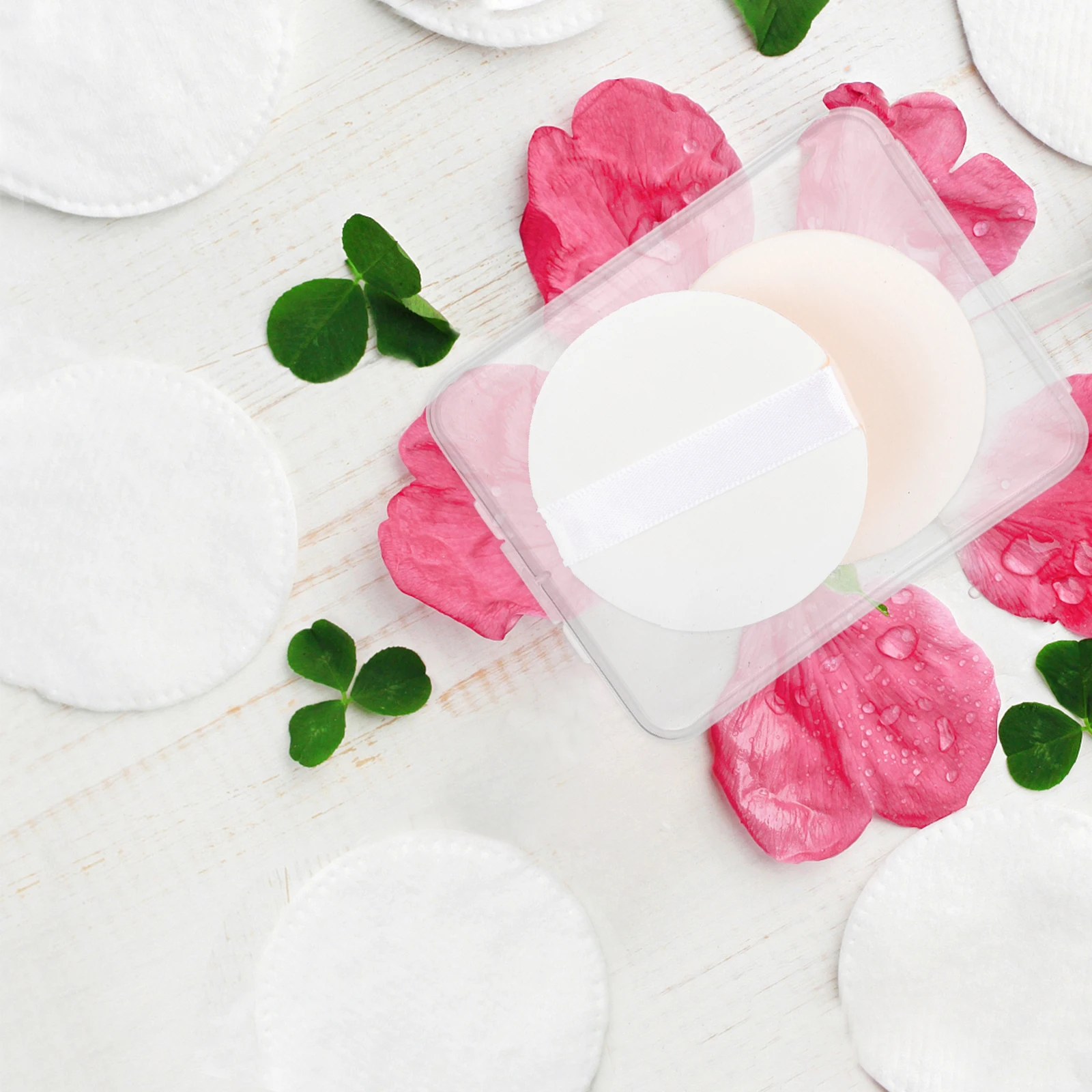 

10 Pcs Earrings Face Wash Puff Storage Box Sponge Holder Pp Makeup Brush Container