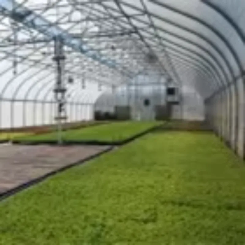 Serra agricola commerciale Grande casa verde in policarbonato con copertura in foglio PC Piccolo capannone in plastica