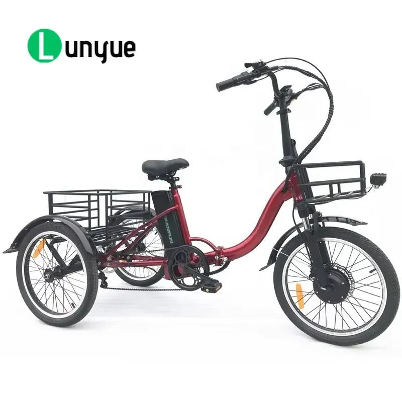 250W Electric Cargo Tricycle 3 Wheel Pedal Assisted E Trike 25km/h CE ROHS Certified Utility Vehicle for Delivery Transport