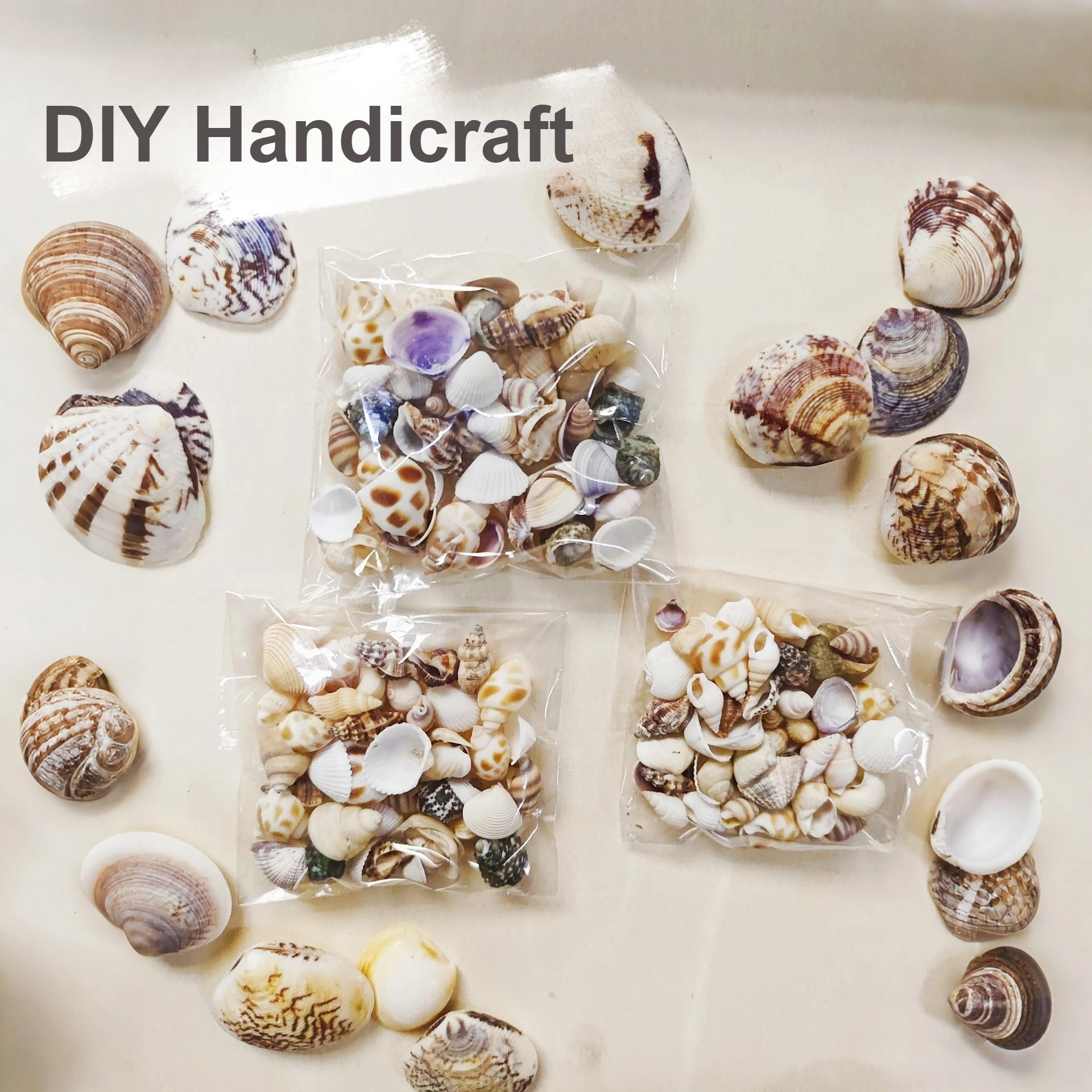 

Natural Mixed Sea Shells Conch Assortment - Bulk Small Spiral Shells for Aquarium Decor, Wedding, DIY Crafts, Photography Props