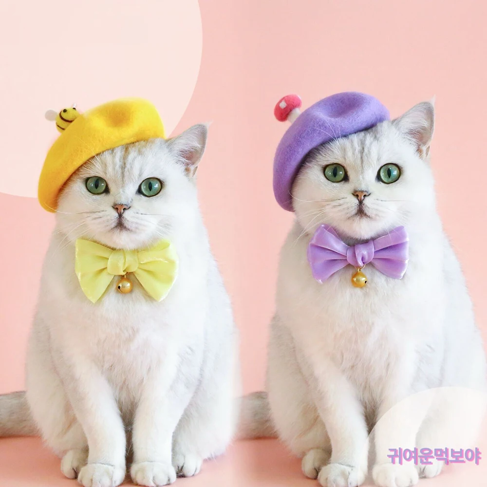 

Pet cat new year Princess Beret wool warm bow