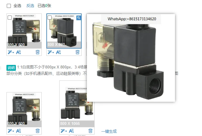 2P025-06/08 Series Electromagnetic Valve Plastic All Copper Two way Valve Flow Valve Normally Closed