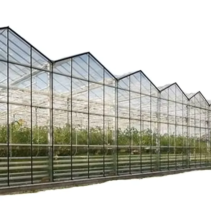 Portable Mini Greenhouse for Flowers Large Walk-in Aluminium and Polycarbonate Garden PC Greenhouse