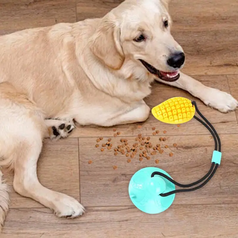 

Interactive Dog Suction Cup Toy With Food Leakage Training Ball Suction Cup Dog Toy Tug Of War