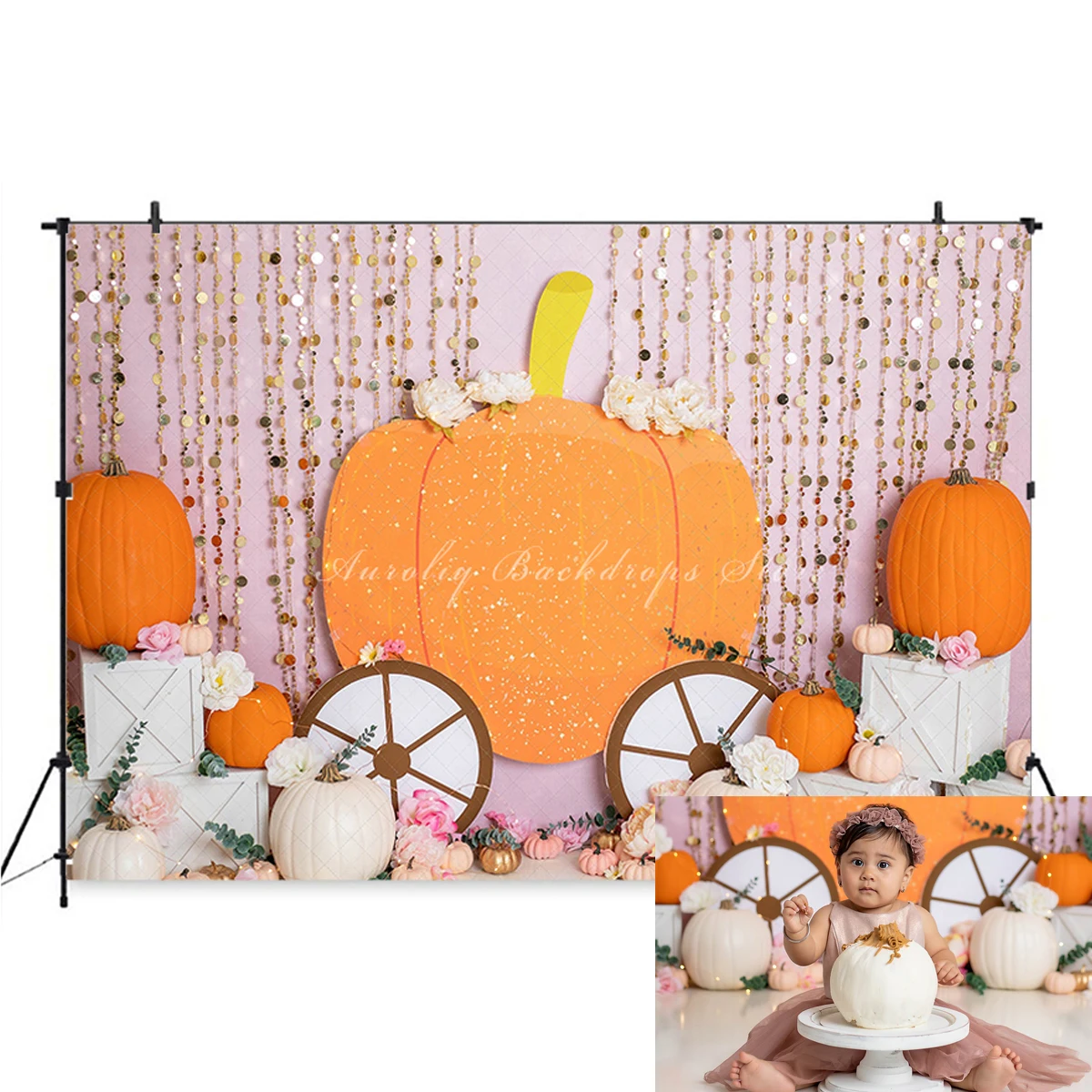 Pumpkin Carriage Backgrounds Cake Smash Kids Adult Photography Props Child Baby Decors Princess Vehicle Photo Backdrops