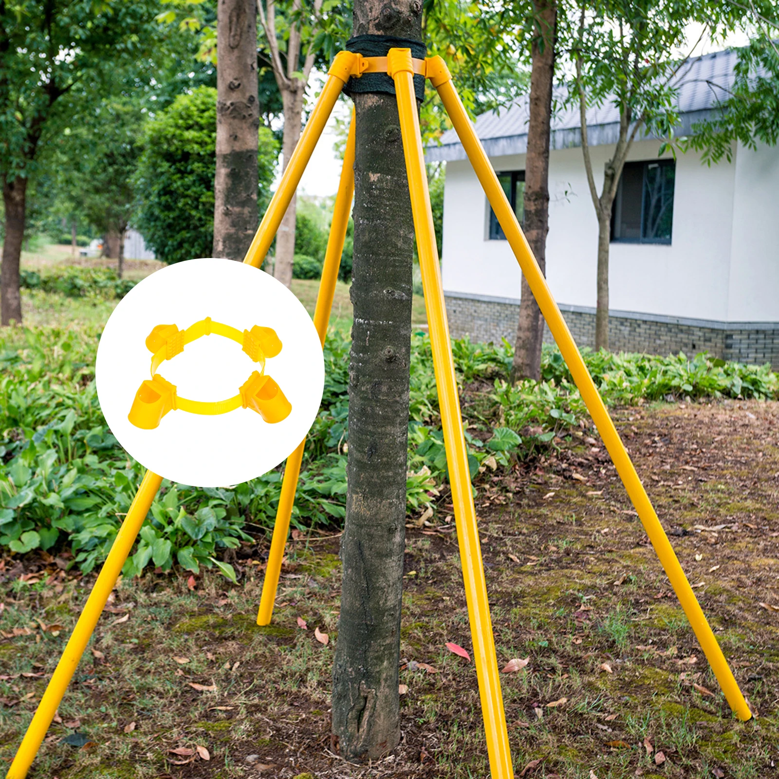 

Tree Support Fixer Kit Strong Bands Stake Holder for Gardening Stabilizer Windproof Stakes Plastic Long Lasting Enlarged Cup