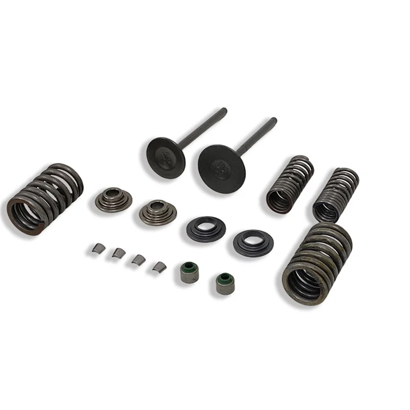 

Premium Inlet Intake Valve Spring And Seal Kit 14711-KSP-910 For Honda CBF150 XR150 KTT150 SDH150