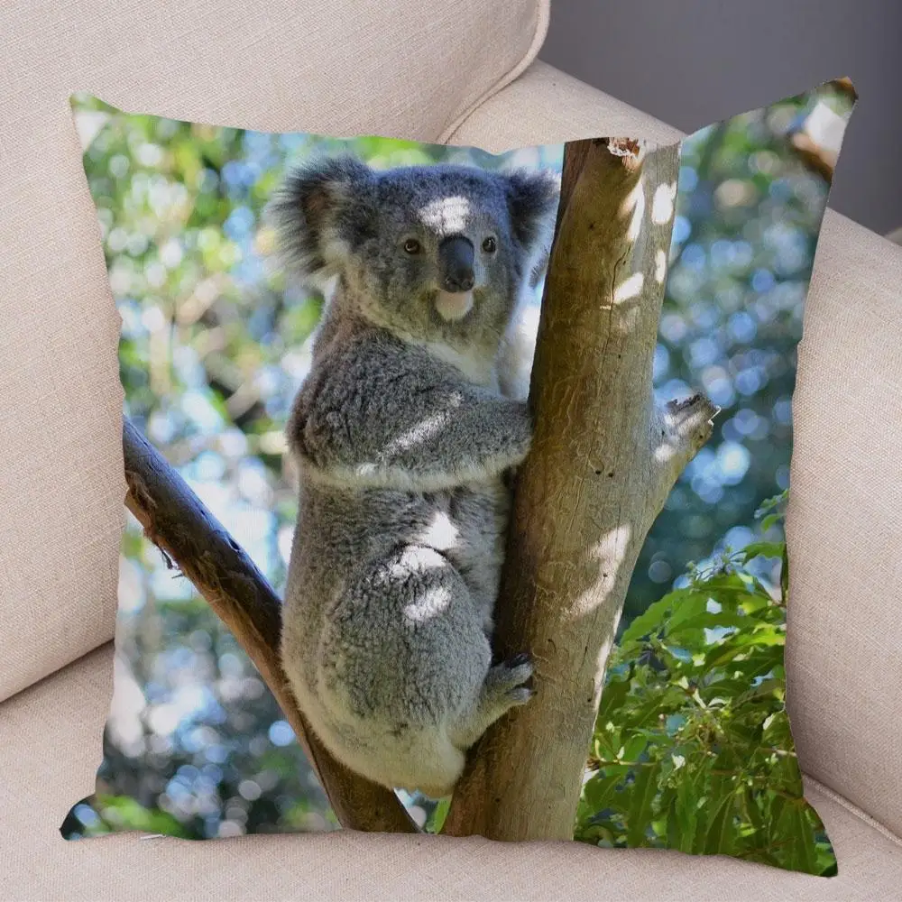 Bedroom Living Room Decor Pillowcase Cute Australian Koala Cushion Cover Wildlife Pattern Print