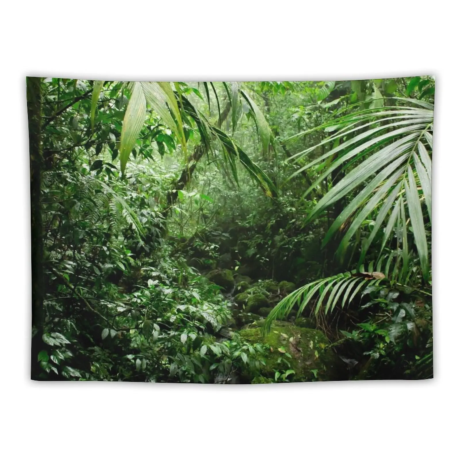 Misty Rainforest Creek Tapestry Aesthetic Room Decor Korean Decoration For Rooms Tapestry