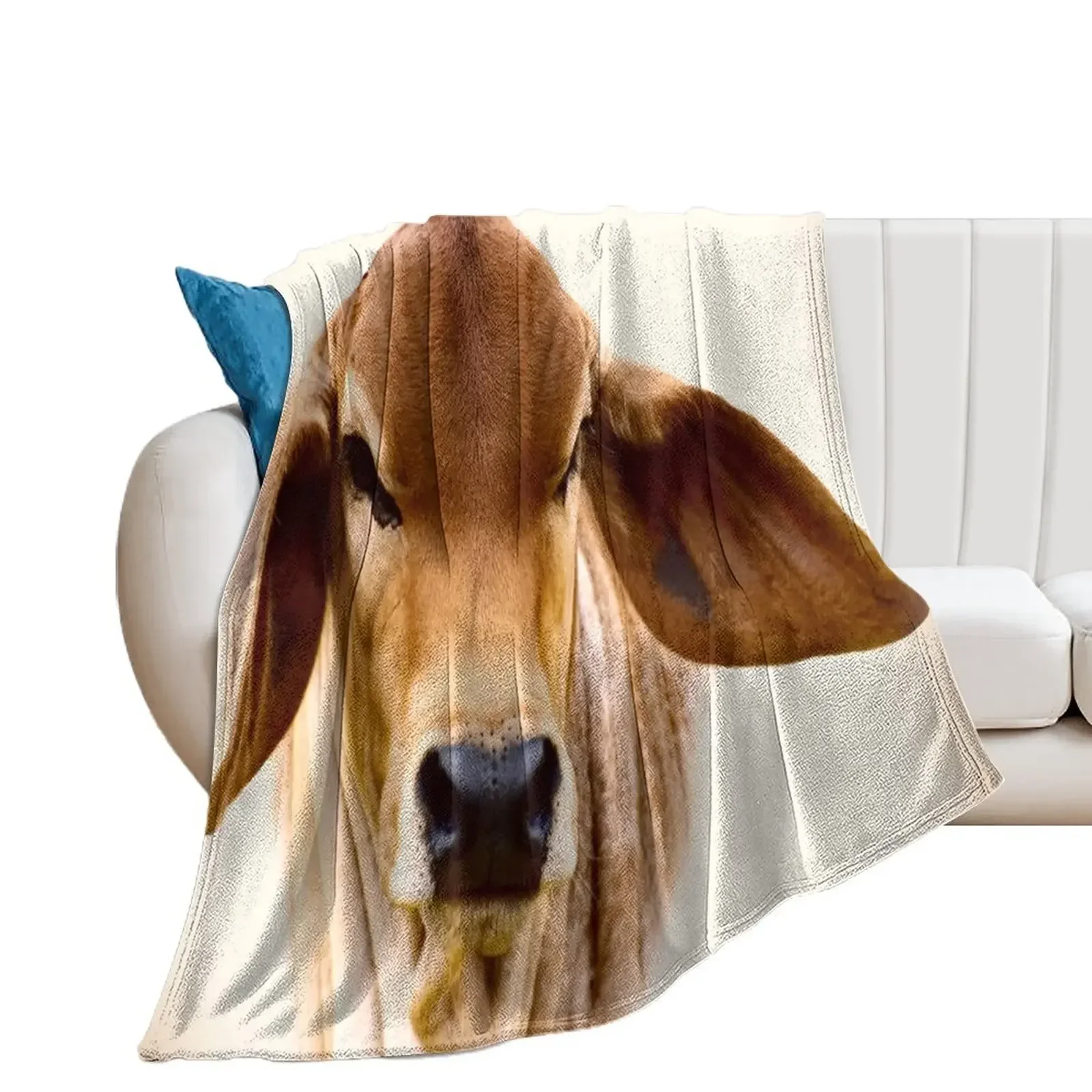 BRAHMAN CALF, PORTRAIT Throw Blanket funny gift Sofa Summer Cute Blankets