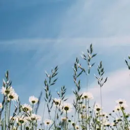 Holybro 2025 UART-U…