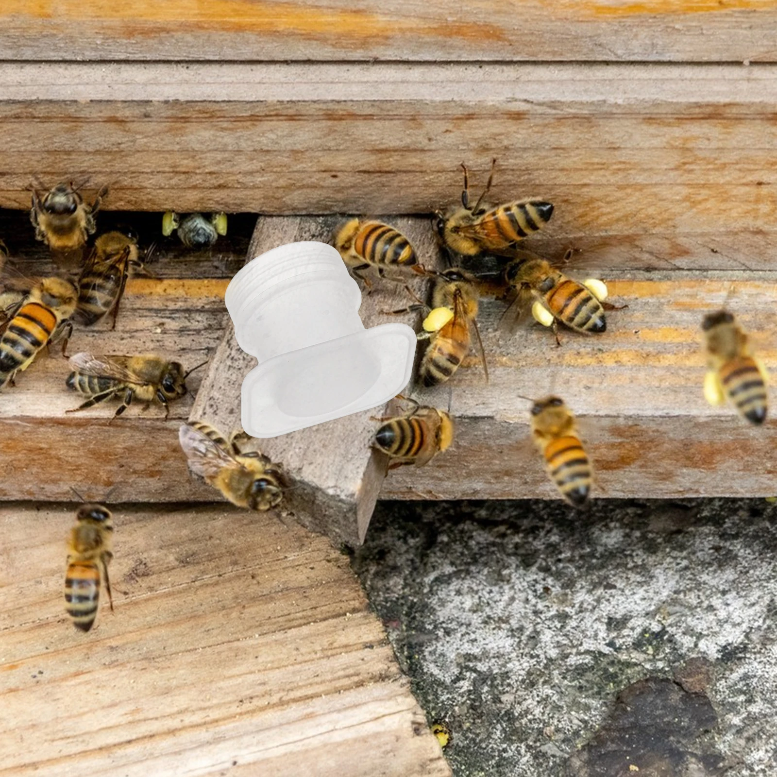

20Pcs Beehive Drinking Feeder Cups Fine Mesh 3cm Opening Bee Water Supply Device Stable Hydration Beekeeping Tools