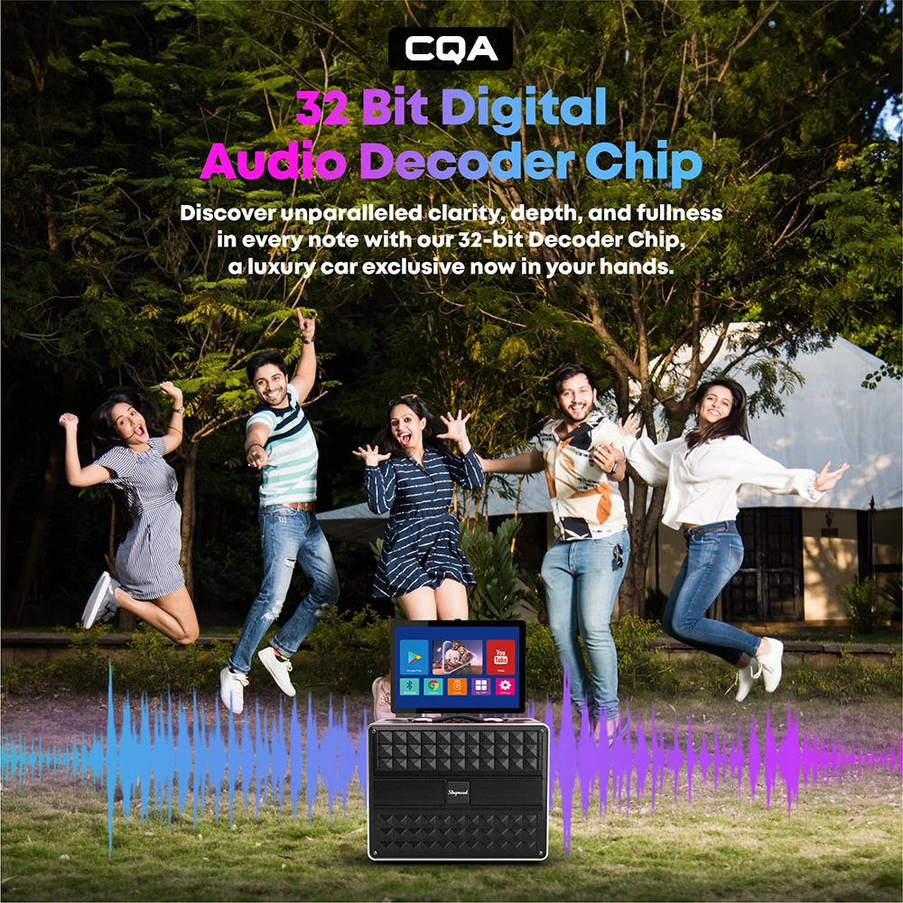 CQA-Machine de karaoké portable pour adultes, écran d'affichage des paroles, 2 microphones sans fil, puissance Patricia 800W